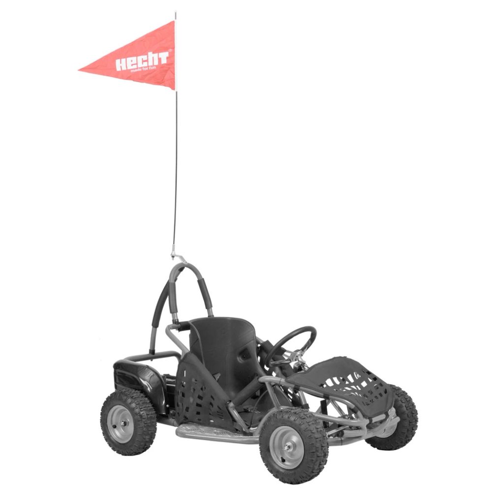 2829 HECHT 54812 SILVER - Buggy electric - imagine 1